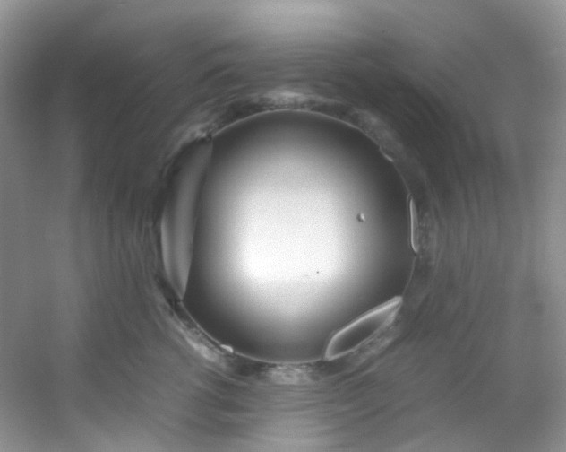 X0000054470762200508122003