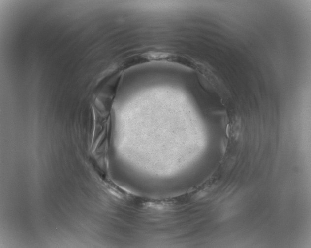 X0000054470763200508122003