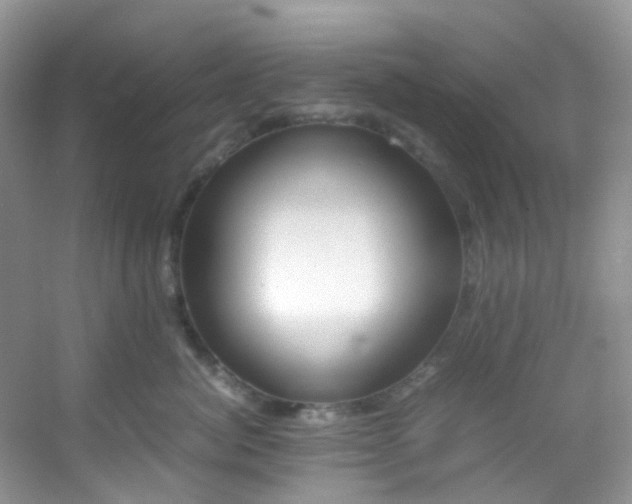 X0000054470764200508122003