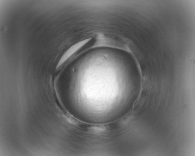 X0000054470765200508122003