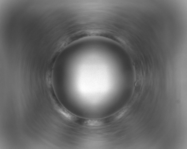 X0000054470766200508122003