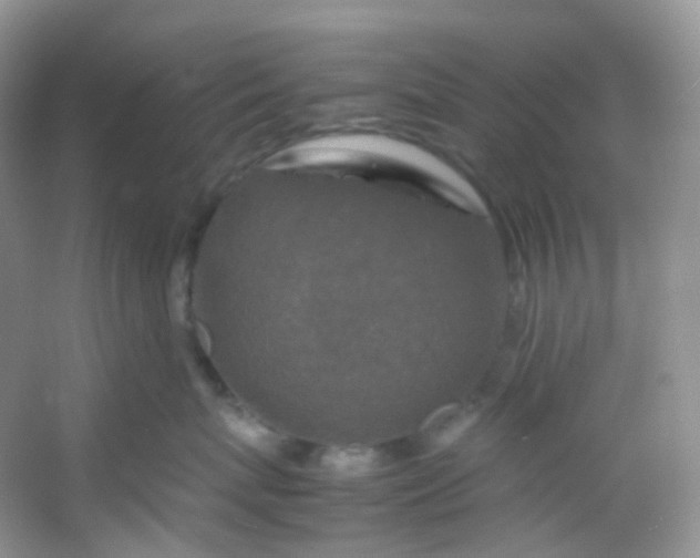 X0000054470767200508122003