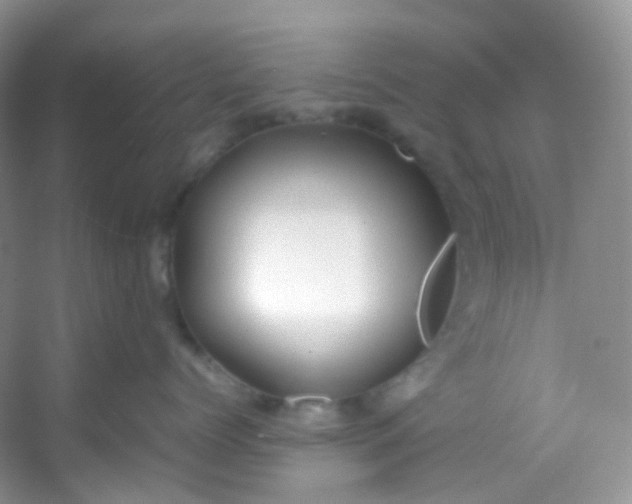 X0000054470768200508122003