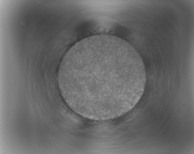 X0000054470769200508122002