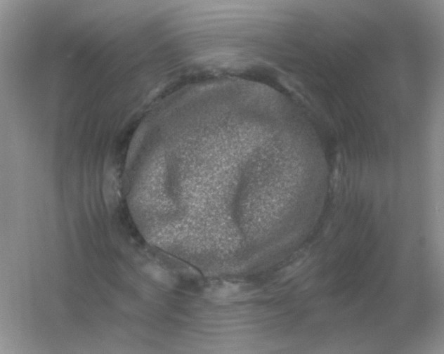 X0000054470772200508122002