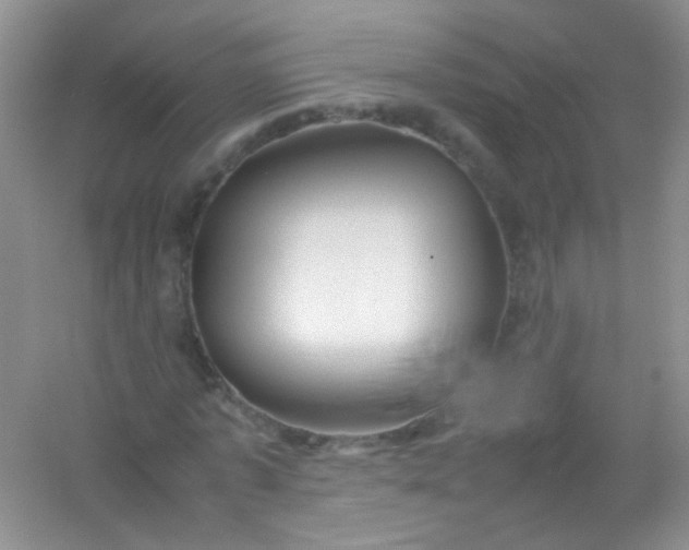 X0000054470773200508122002