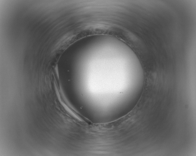 X0000054470774200508122002