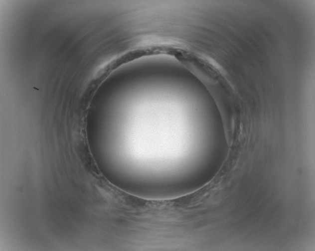 X0000054470775200508122002