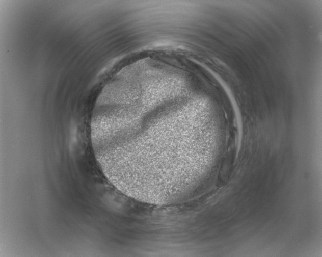 X0000054470776200508122002