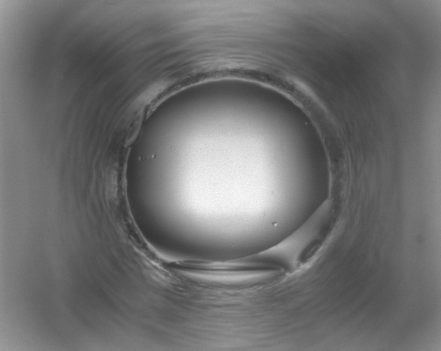 X0000054470777200508122002