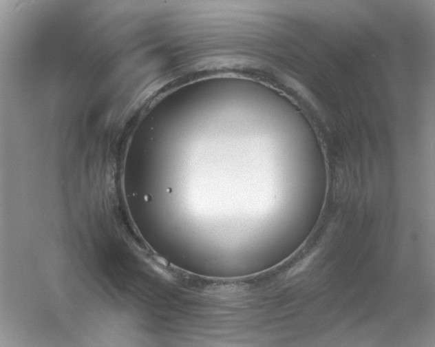 X0000054470778200508122002