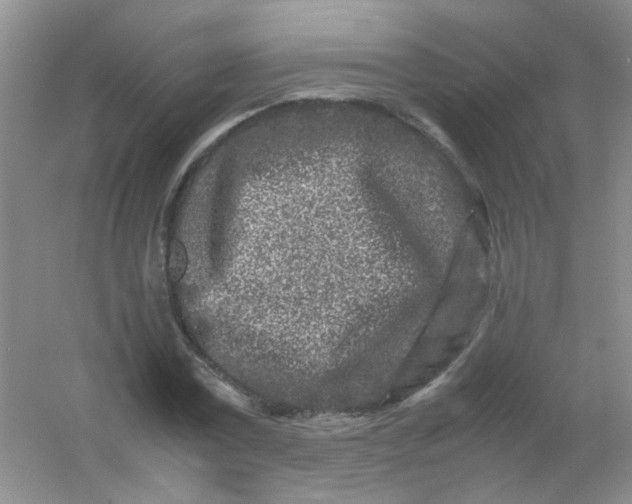 X0000054470779200508122002