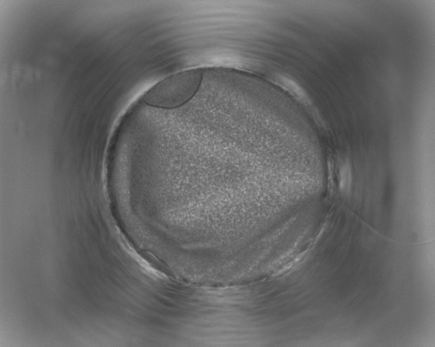 X0000054470780200508122002