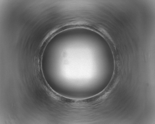 X0000054470781200508122002