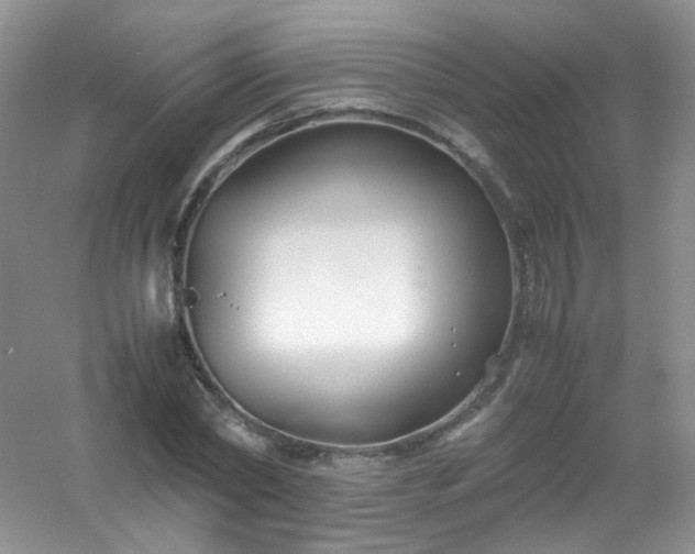 X0000054470782200508122002