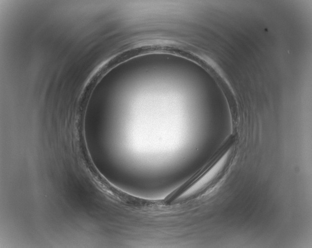 X0000054470783200508122002