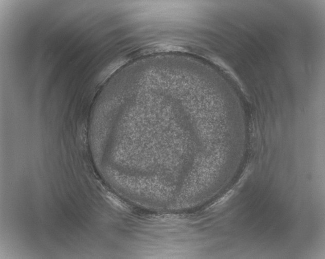 X0000054470785200508122002