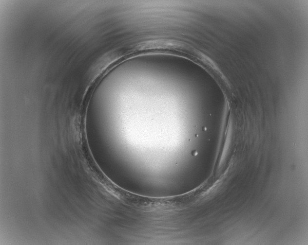 X0000054470786200508122002