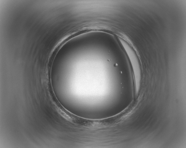 X0000054470787200508122002