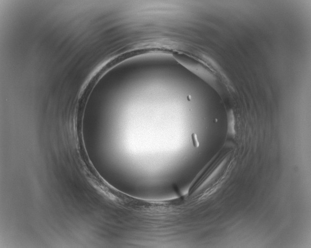 X0000054470788200508122002