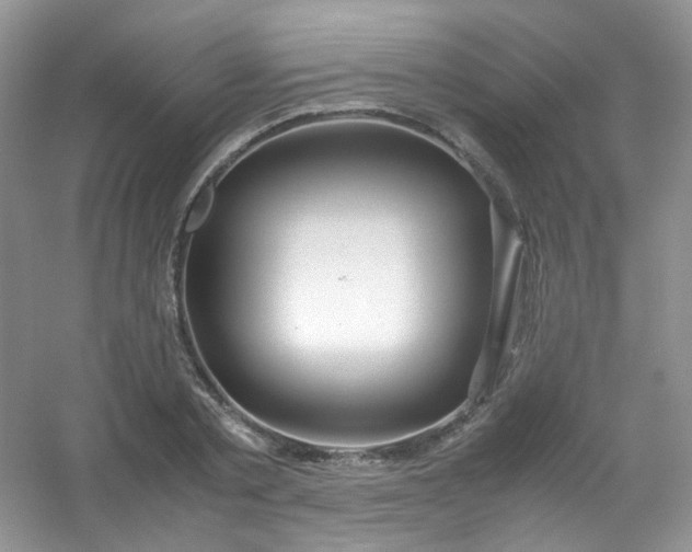 X0000054470789200508122002