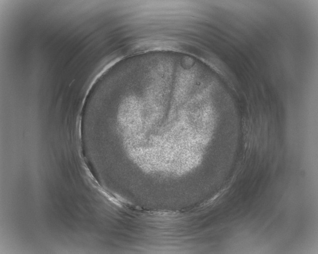 X0000054470790200508122002