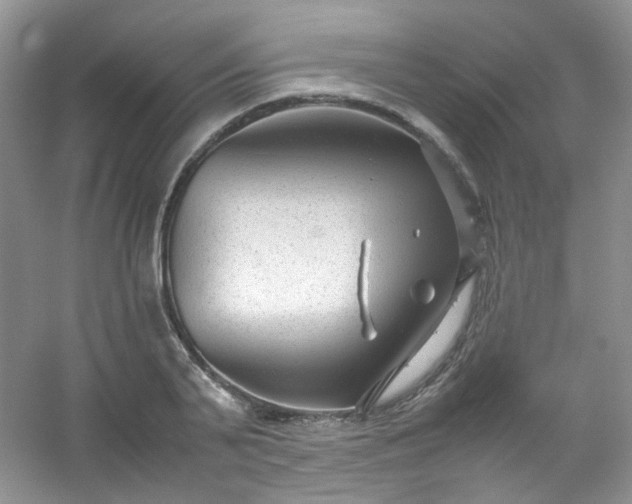 X0000054470791200508122002