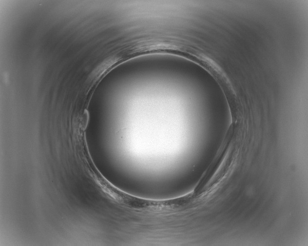 X0000054470793200508122002