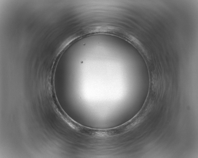 X0000054470794200508122002