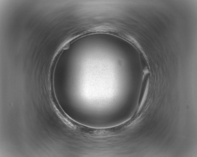 X0000054470795200508122002