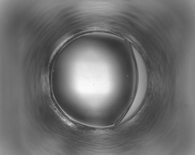 X0000054470796200508122002