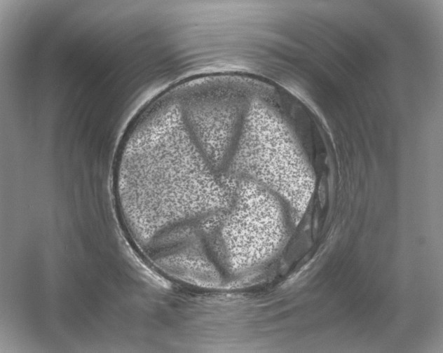 X0000054470797200508122002