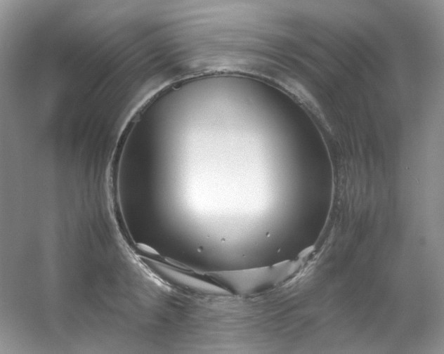 X0000054470798200508122002