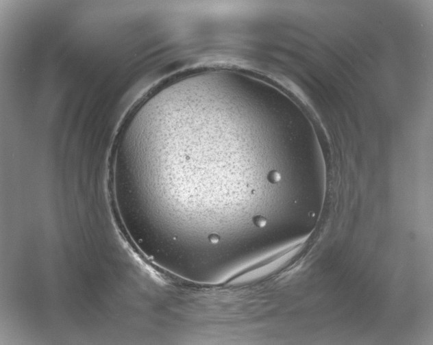 X0000054470799200508122002