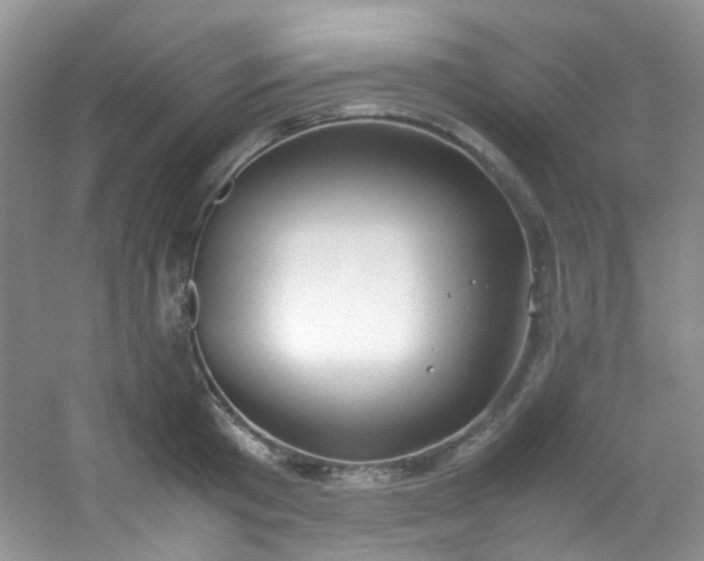 X0000054470801200508122002