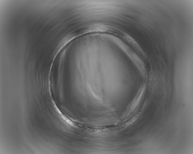 X0000054470802200508122002