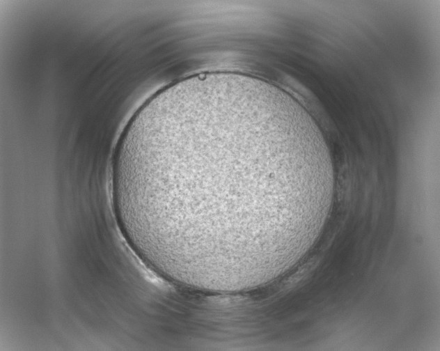 X0000054470804200508122002