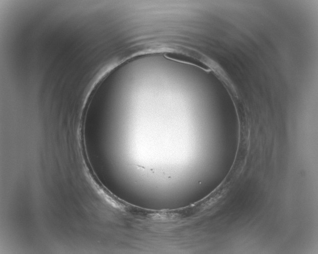 X0000054470805200508122002