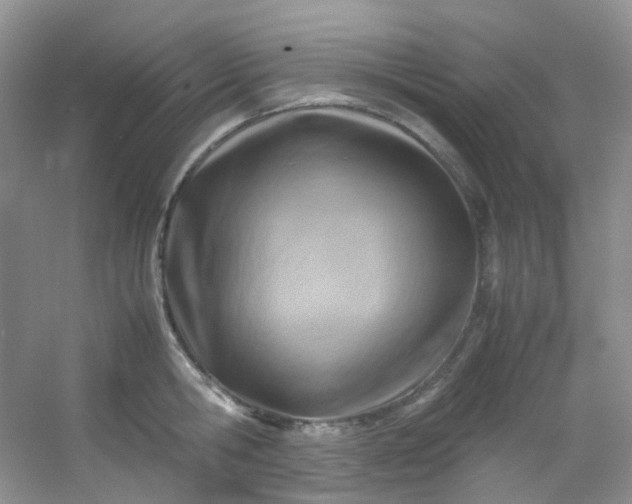 X0000054470806200508122002