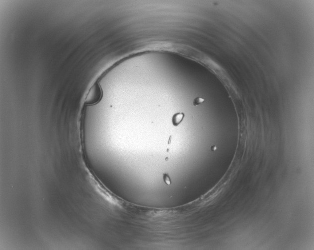 X0000054470808200508122002