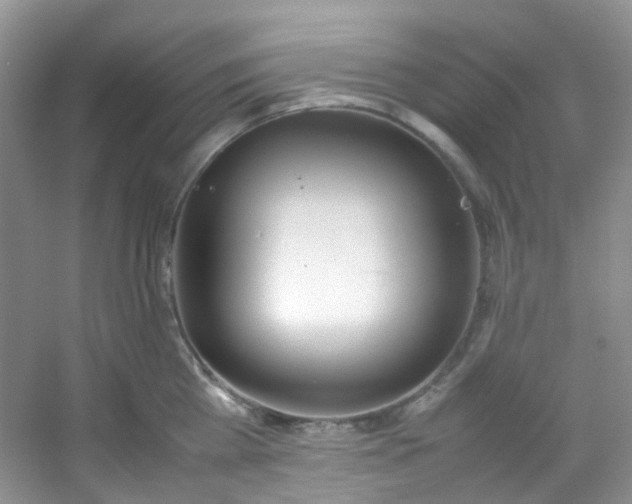 X0000054470809200508122002