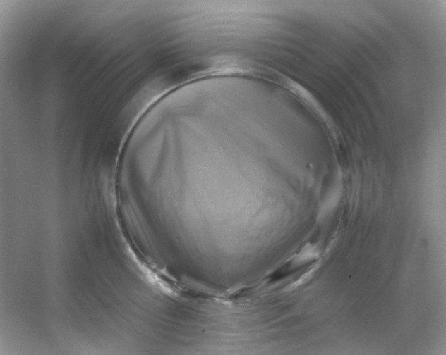 X0000054470810200508122002