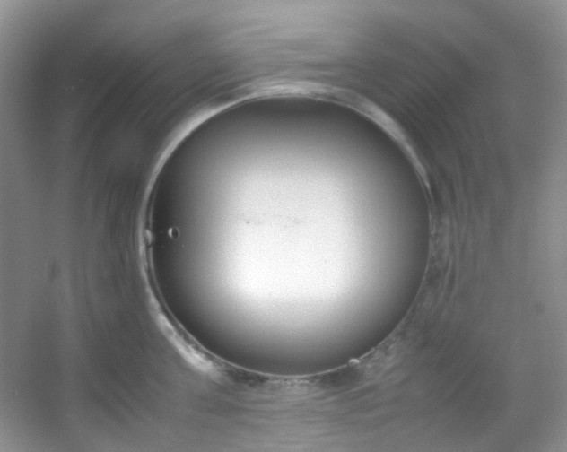 X0000054470811200508122002