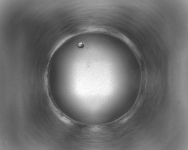 X0000054470814200508122002