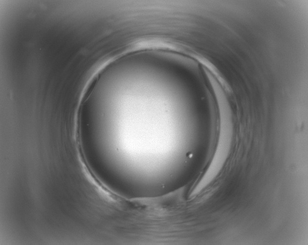 X0000054470815200508122002