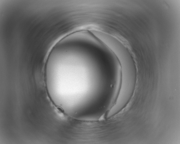 X0000054470816200508122002