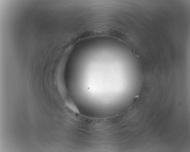 X0000054470817200508122001