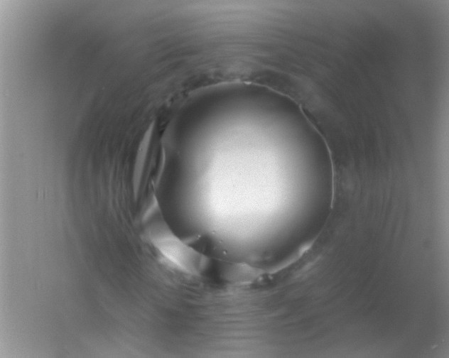 X0000054470818200508122001