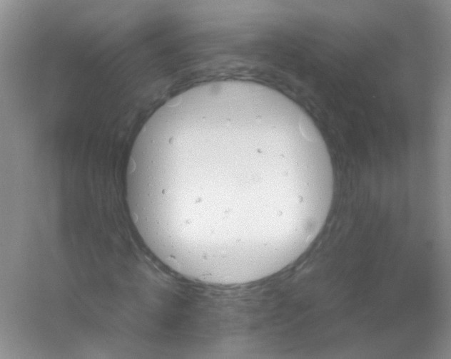 X0000054470820200508122001