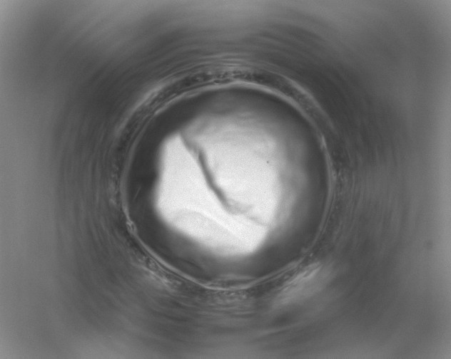 X0000054470823200508122001